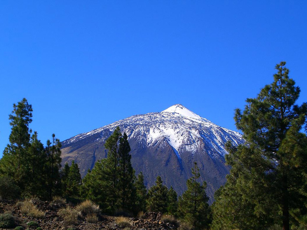Tour of Teide National Park
