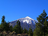Tour of Teide National Park