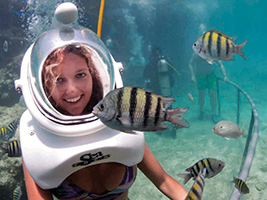 Ilha De Palm com Sea Trek (caminhar debaixo d'água)