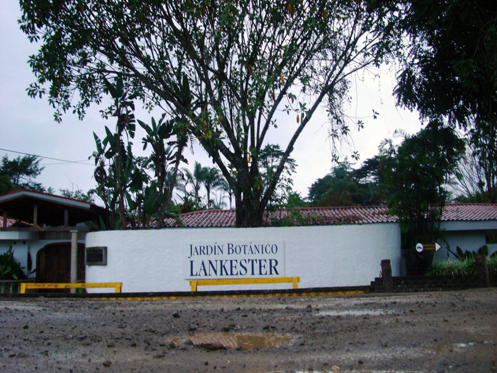Irazu - Valle De Orosi and Lankaster Garden - San José / Central Valley