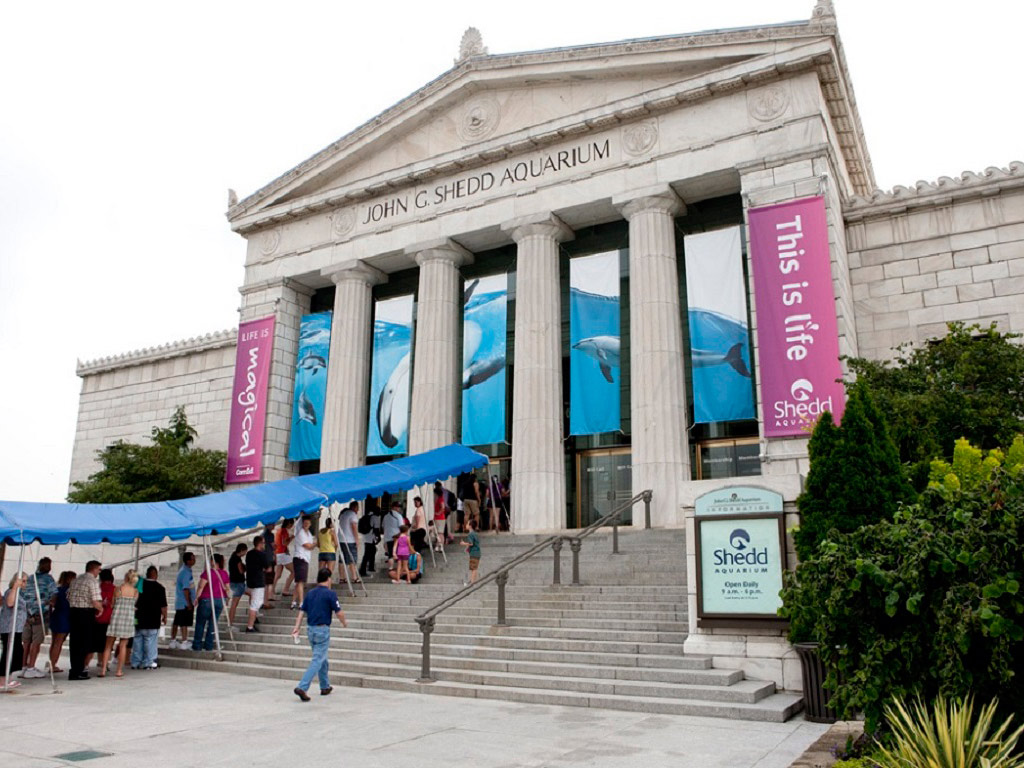 Chicago CityPASS(R) - Access to 5 Attractions