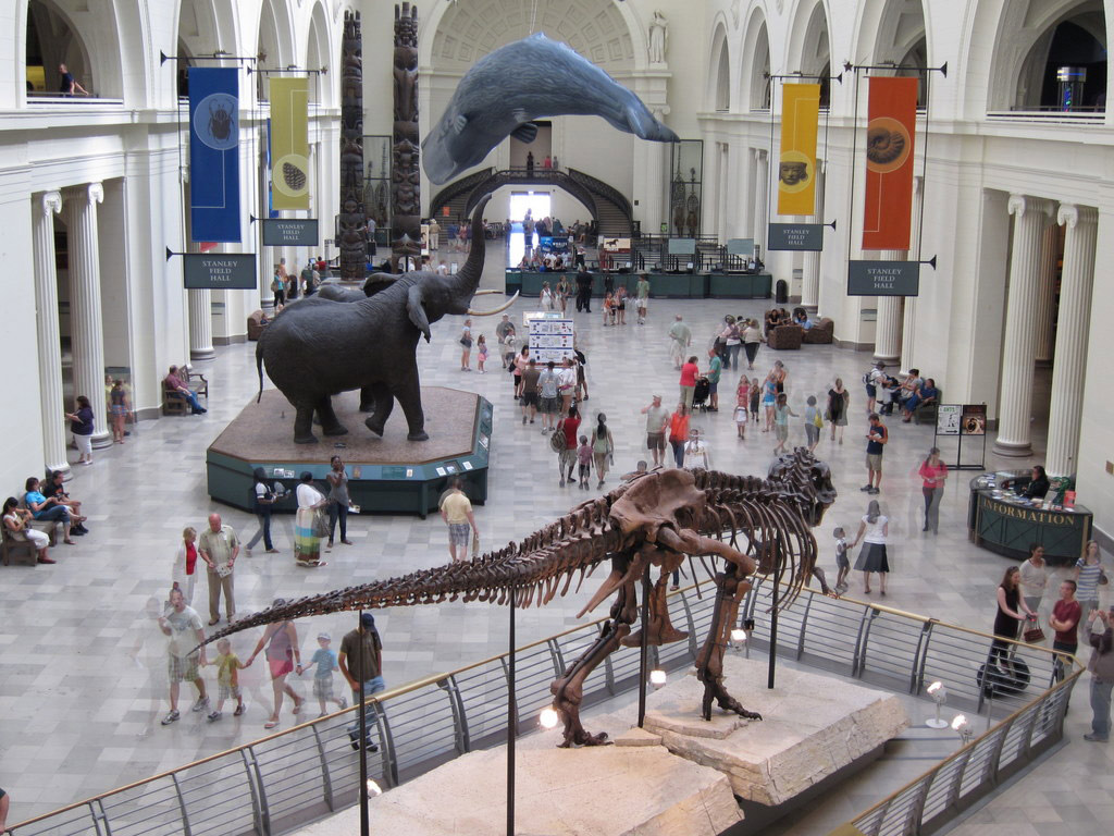 Chicago CityPASS(R) - Access to 5 Attractions