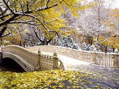 Central Park TV and Movie Sites Tour - New York