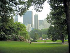 Central Park TV and Movie Sites Tour - New York