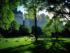 Central Park TV and Movie Sites Tour - New York