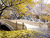 Ruta por las localizaciones de películas y series en Central Park