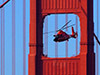 Helicopter Tour
