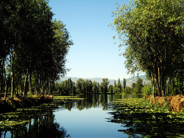 University City Tour and Fun Ride at Xochimilco - Mexico City