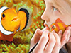 Special Discount Offer: Palma Aquarium Duo Pack