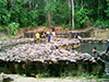 Rainforest Discovery