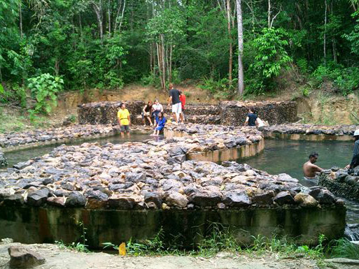 Rainforest Discovery