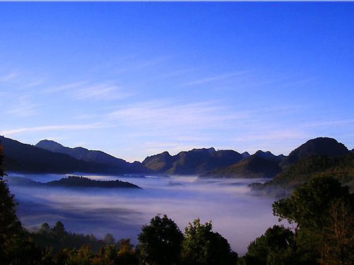 Full Day Doi Tung And Mae Sai From Hotel Inside Chiang Rai City Only