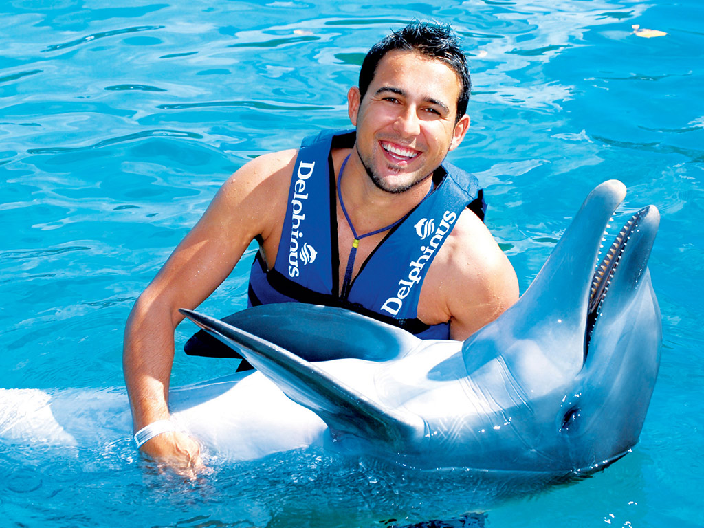 Delphins in Xel-Ha - Cancun (and vicinity)