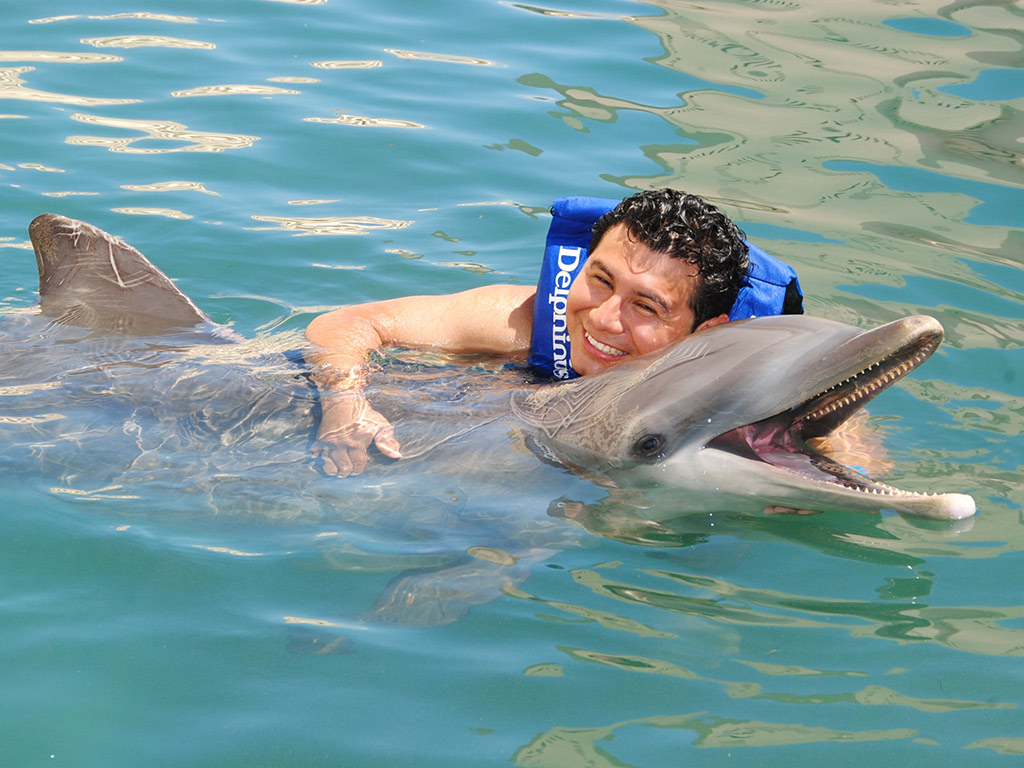 Delphins in Xel-Ha - Cancun (and vicinity)