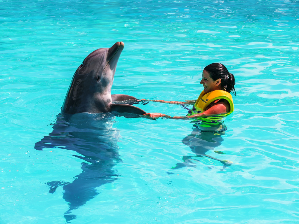 Swim with Dolphins in the Delphinus Interactive Aquarium - Cancun (and vicinity)