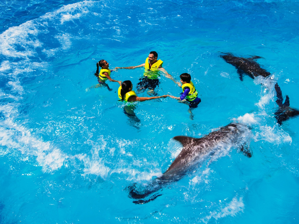 Swim with Dolphins in the Delphinus Interactive Aquarium - Cancun (and vicinity)