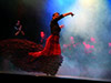 Tablao Palacio de Flamenco - 2ª sesión