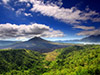 Bali's Great Introduction