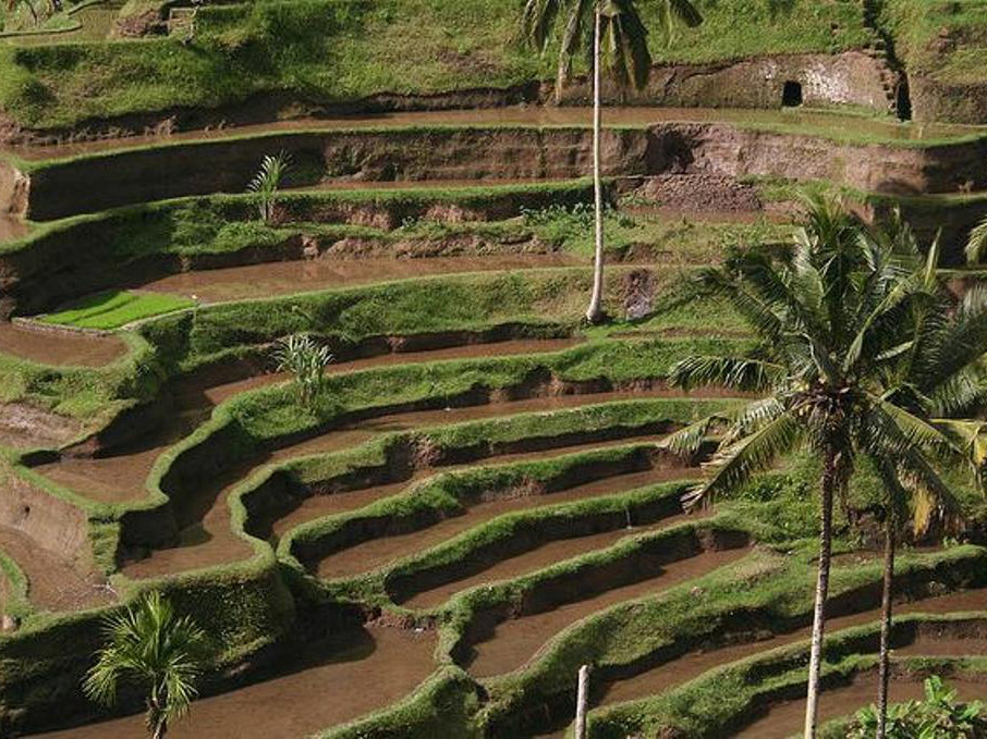 Bali's Great Introduction - Private Full Day Tour