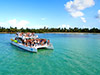 Marinarium - Glass Bottom Boat and Snorkel