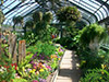 Butterfly Conservatory