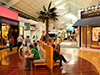 Sawgrass Mall Shopping Tour Shared