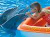 Siam Park and Loro Parque Twin Ticket