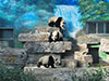 Full Day Essential Beijing: Ancient Beijing and New Olympic Tour