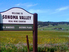 Sonoma County Wine Tour - San Francisco