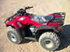 Quad runner