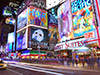 Multilingual Escorted Upper and Lower Manhattan Tour