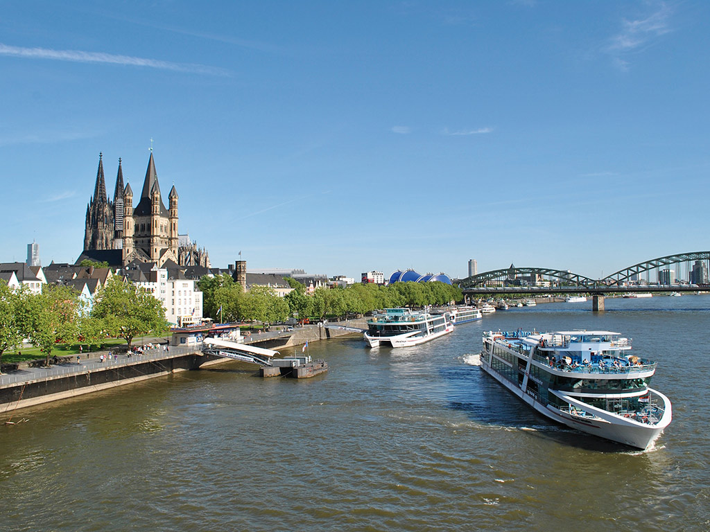 Rhine River Panoramic Cruise