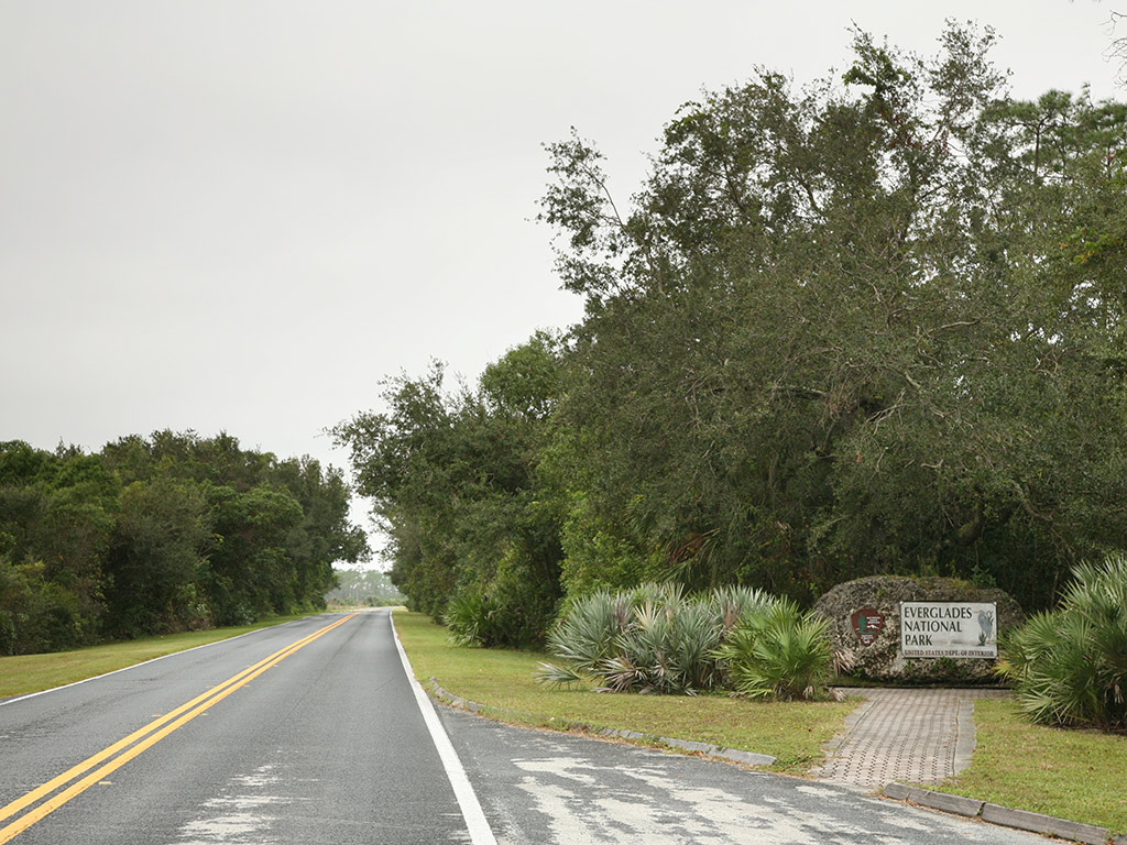 Everglades Tour Multilingual - Miami