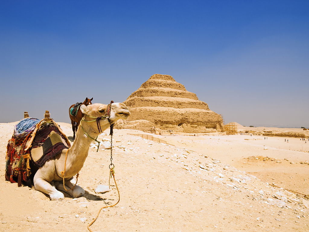 Memphis & Shakara from El Cairo - Half-Day Tour
