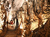 Artá caves