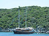Chill Out Cruise