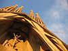 Gaudi and Sagrada Famillia tour - English Only