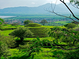 Huachimontones archeological zone
