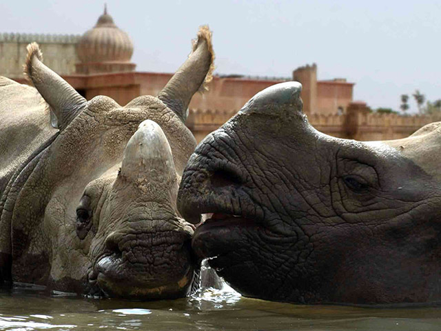 Terra Natura + Aquanatura Combined