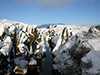 The Golden Circle afternoon