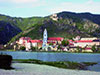 Wachau Valley Winery Bike Tour