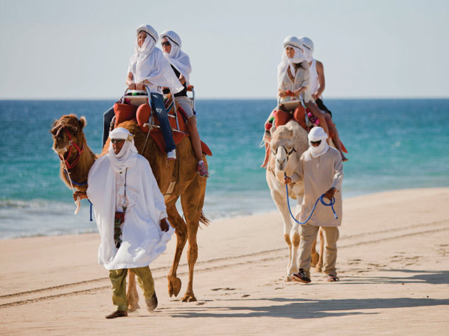 Outback & Camel Safari