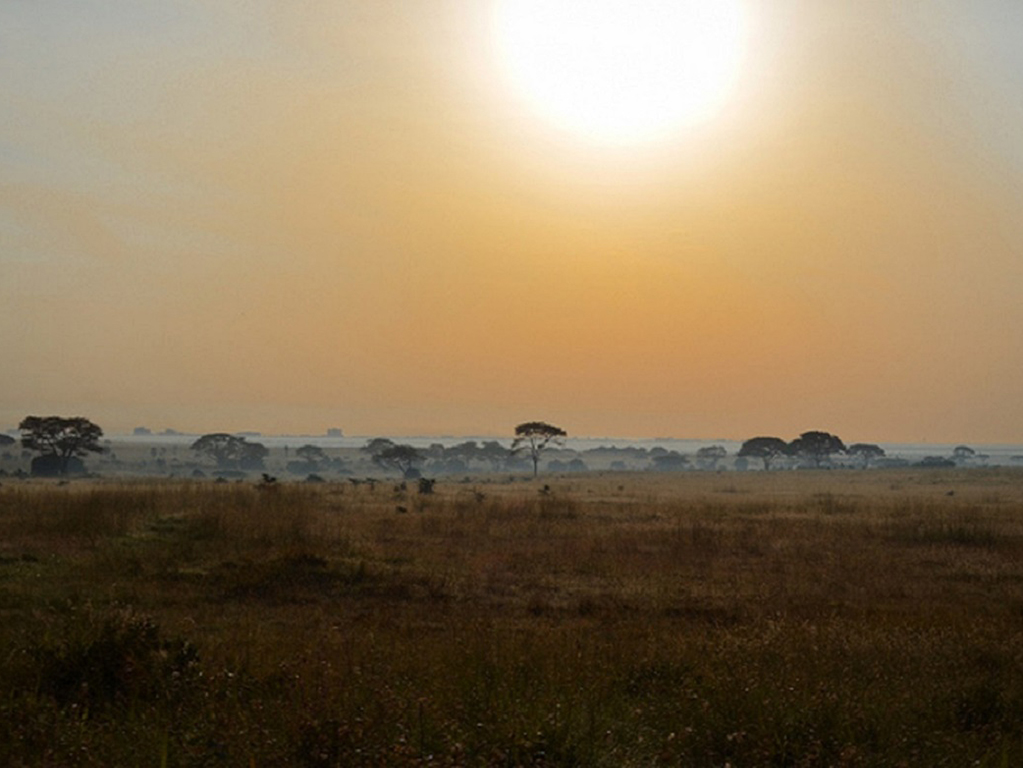 Visit of Nairobi National Park, Carnivore and Bomas of Kenya