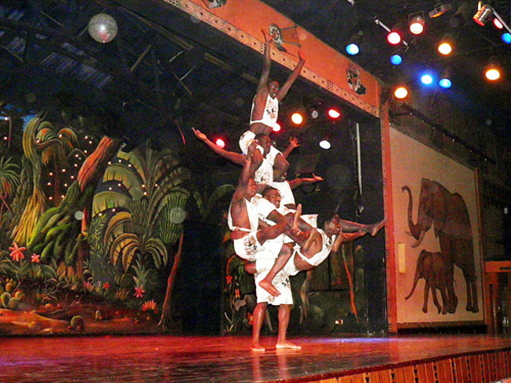 Safari Cat Show with Dinner - Nairobi