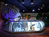 SEA LIFE London Aquarium - Priority Entrance