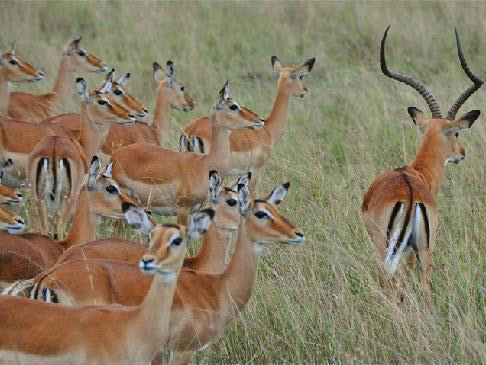 Nairobi experience