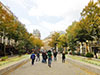 Bohemian Paris Experience