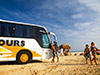 Discover Aruba