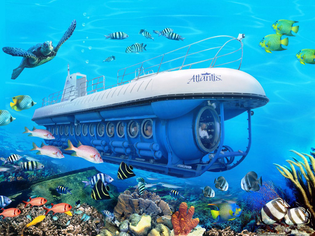 Atlantis Submarine Expedition Tour (Tour)