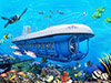 Atlantis Submarine Expedition Tour